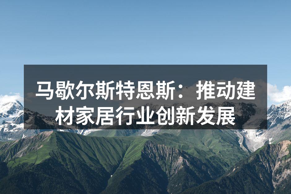 马歇尔斯特恩斯新款环保地板展示